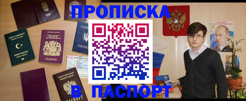 прописка 2025 в Щёкино